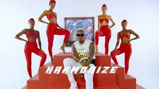 Harmonize x Rayvanny  Paranawe Official Video  COVER [upl. by Robaina128]