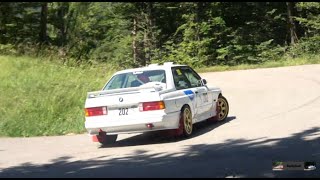 RALLYE DROME PAULFRIEDMAN 2024 SHOW AND MISTAKES [upl. by Adnamal]