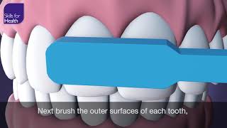 How to Brush Your Teeth Animation MCM [upl. by Zipah]