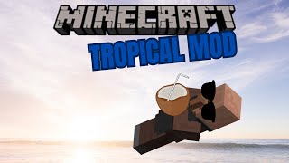 Minecraft TROPICAL MOD  Beach Estate Bucket and Spades Coconut and More [upl. by Harod]