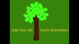 Oak Tree Life Cycle Animation By Deep Grewal deepysingh800 TeamTrees [upl. by Pam735]