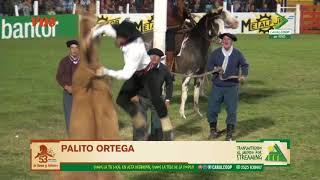 JINETEADA 3  06012018 Festival Nacional de Doma y Folklore de Jesús Maria Edición 53 [upl. by Tonry]