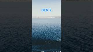 Marmara DeniziğŸŒŠdeniz keÅŸfet [upl. by Nedaj]