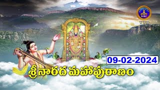 శ్రీనారద మహాపురాణం  Masavaisistyam Sri Narada Mahapuranam  09022024  SVBC TTD [upl. by Silverts]