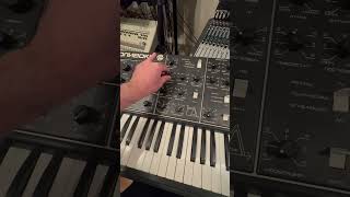 Soviet Polivoks synth hard techno hardtechno synth rawtechno technomusic analogsynth livemusic [upl. by Freddy]