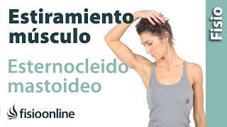 Automasaje para músculo esternocleidomastoideo  Relajar tensión cervical [upl. by Llemrej]