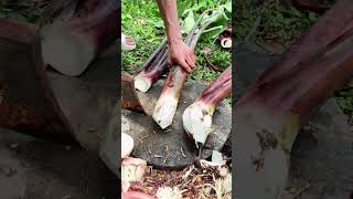 Satisfying vegetables cutting shorts youtubeshorts agriculture farming satisfying [upl. by Ruenhcs]