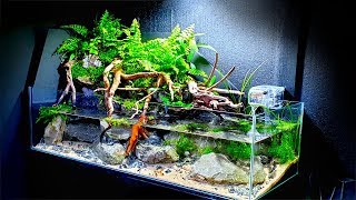 EPIC 25ft AQUA TERRARIUM  My Biggest Yet How To Aquascape No co2 No Ferts No Heater [upl. by Oiramrej157]