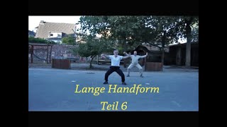 Wudang  Practical Tai Chi Chuan Teil 6 der langen Handform [upl. by Ahseya]