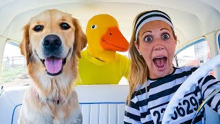 Rubber Ducky SAVES Puppy From Robber 😱 [upl. by Nymzaj629]