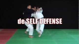 Nihon Tai Jitsu  Self Defense complete [upl. by Anaigroeg]