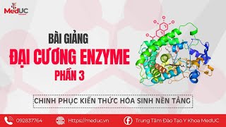 Hóa Sinh Enzyme  3 Cách Phân Loại Và Gọi Tên Enzyme P2  Trung Tâm Đào Tạo Y Khoa MedUC [upl. by Nylkaj]