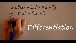 Differentiation [upl. by Acinomed]