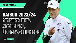 Bundesliga Prognose 202324 🏆 Meister Absteiger Überraschungen [upl. by Harad608]