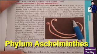 Phylum Aschelminthes XI Biology [upl. by Atineb975]