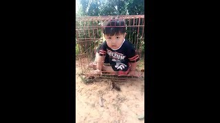 Viral alahai budak ni boleh pulak duduk dalam sangkar comel je [upl. by Enilkcaj]