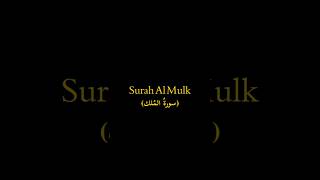 Surah Al Mulk  Quran Recitation  BY ZH  2024 [upl. by Annaxor888]