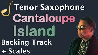 Cantaloupe Island Tenor Saxophone  Backing Track  Improvisation Jazz Standard [upl. by Aryajay]