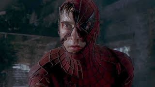 El Hombre Araña película completa en Español [upl. by Marcelline391]