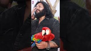 Macaw Parrot Price in Hyderabad 😱👌macawparrot macawbird birdshow hyderabad talkingparrot [upl. by Trixie]