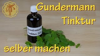 GundermannTinktur selber machen [upl. by Toback]