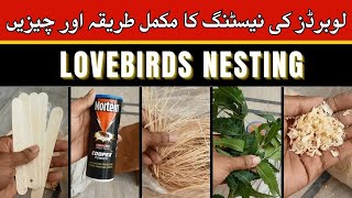 Best Nesting Material for Lovebirds  Parrots ko Nest Material Konsa Den  Birds Nesting Material [upl. by Cirenoj]