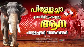 പിള്ളേച്ചന്റെ കാര്യം ബഹു രസം തന്നെElephant who is called as pillechanKanjirakkatu SekharanEPI 240 [upl. by Lalage375]