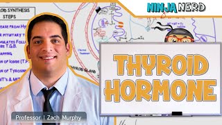 Endocrinology  Synthesis of Thyroid Hormone [upl. by Fishbein787]