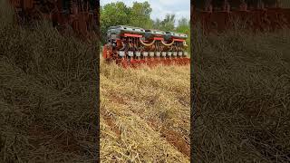 Play na soja T7 na 11 linhas youtubeshorts brasilfarm farmlife agro agricultura [upl. by Gnes676]