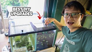 Updates on MY AQUARIUMS Easy Flip Lid For your Fish Tank [upl. by Eudoca]