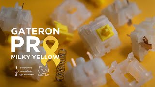 Gateron Pro Milky Yellow  Out of the Box Thoccs [upl. by Anerec]