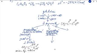 Metabolismus sacharidů – schéma katabolismu [upl. by Rosette]