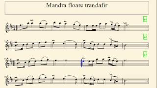 RO Partitura  Mandra floare trandafir [upl. by Alana238]