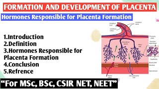 Formation and development of placenta  Hormones Responsible for Placenta Formation [upl. by Nwahsear]