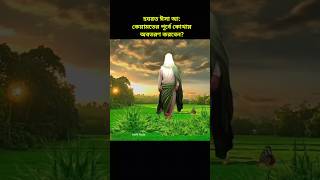 হযরত ঈসা আলাইহিস সালাম এর কাহিনী। hazrat isa ali salam ka waqia shorts history ytshorts [upl. by Jacki]