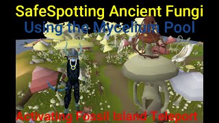 OSRS Ancient Fungi Safespot and Mycelium Pool [upl. by Midan]