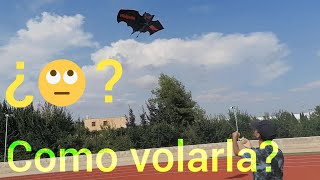 Como volar una cometa o papalote por primera vez  Consejos para volarla [upl. by Anyal624]