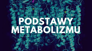 Podstawy metabolizmu  Korepetycje z biologii [upl. by Laurent]