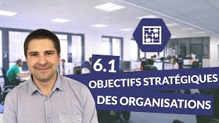 Chapitre 6  Quels sont les objectifs stratégiques des organisations  13  Management Bac STMG [upl. by Ajani817]