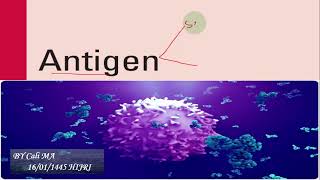 Antigen Immunology afsoomaali [upl. by Goggin928]