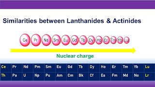 Similarities between Lanthanides amp Actinides [upl. by Eibocaj]