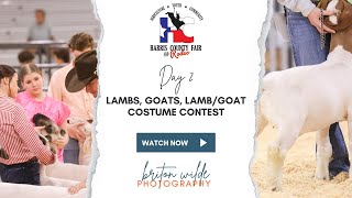 Harris County Fair and Rodeo 2024  Lambs Goats GoatLamb Costume Contest [upl. by Reinaldo]