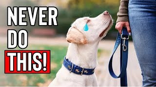 10 Things a Dog Will Never FORGIVE [upl. by Anifled]