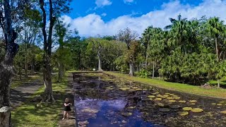 Mauritius  Botanical Gardens  8K VR360 [upl. by Lorre]