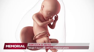 30 haftalık gebelik döneminde neler oluyor [upl. by Nnylcaj]