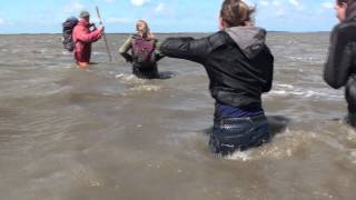 waddenzeehike end this is what you get p [upl. by Ahsoem]