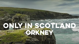 Only in Scotland  Orkney [upl. by Dorison]