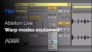 Ableton Live warp modes explained [upl. by Led]