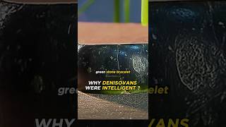 Joe Rogan  Why Denisovans Were Intelligentjoerogan shorts [upl. by Anyah836]