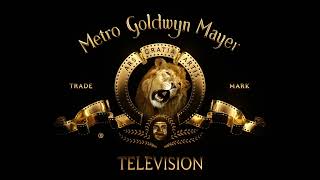 Amblin TelevisionImageMoversMGM TelevisionWarner Bros Television 2022 [upl. by Eicrad348]